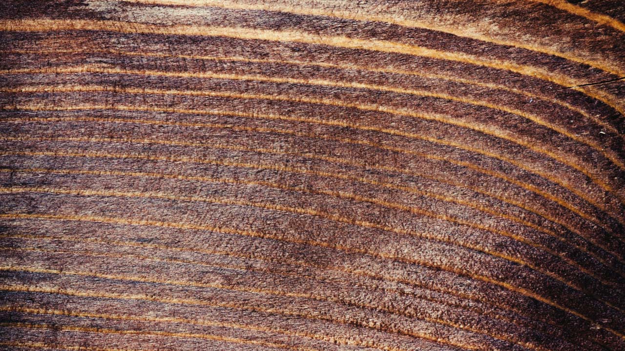 Free Wood Texture 05