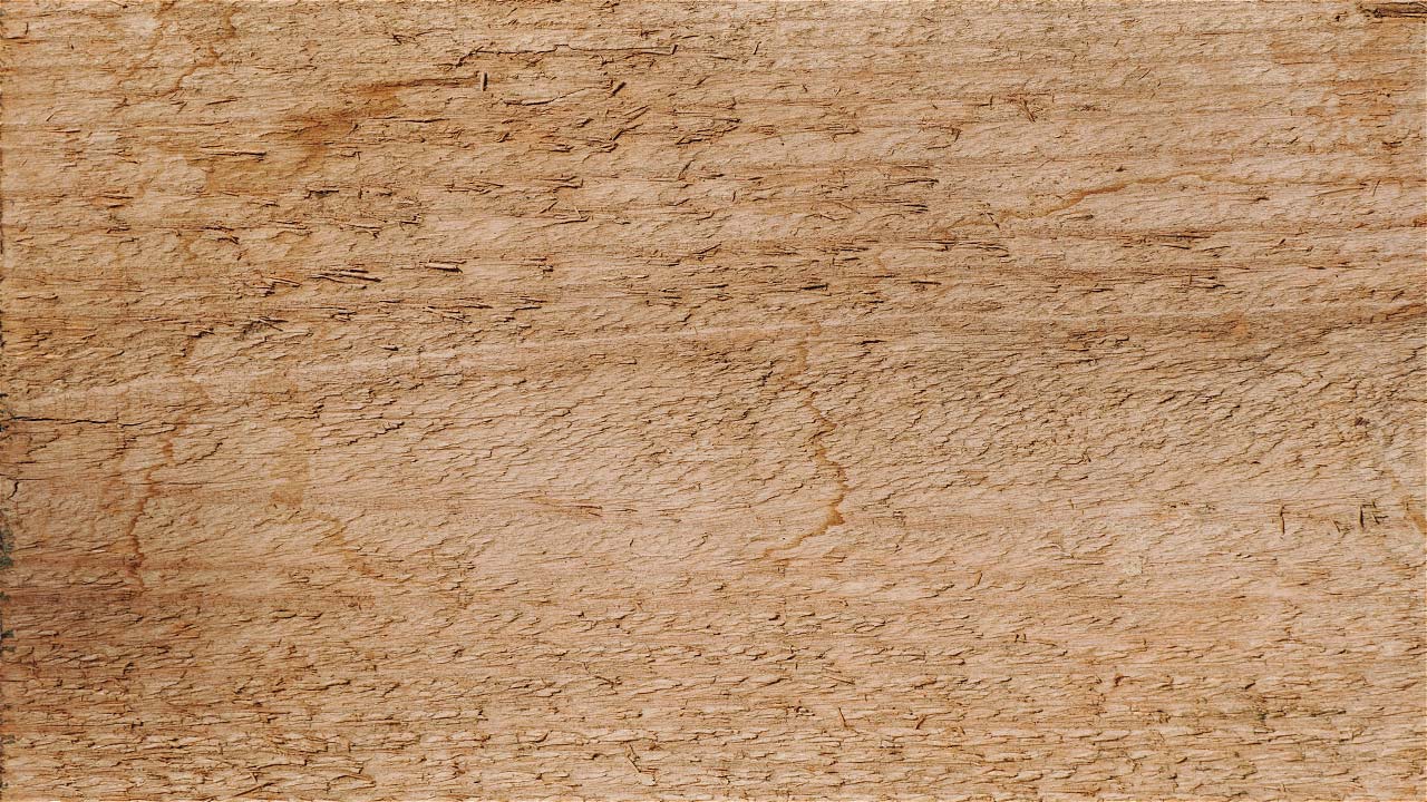 Free Wood Texture 08